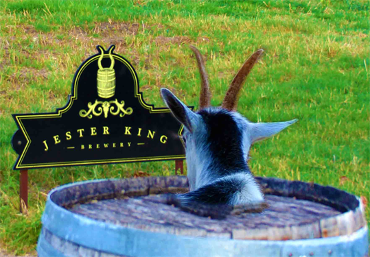 Jester King Brewery 
